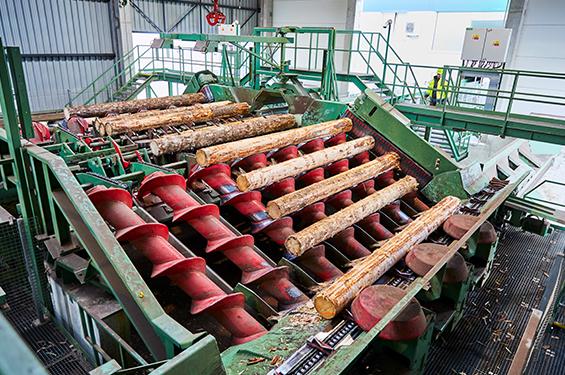 Gesamtanlage für Rundholz. Springer Maschinenbau zählt zu den führenden Anbietern von Gesamtanlagen zur Rundholzverarbeitung.